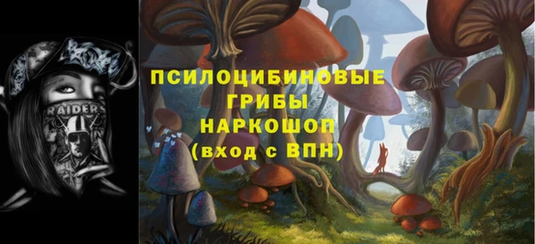 а пвп мука Бронницы