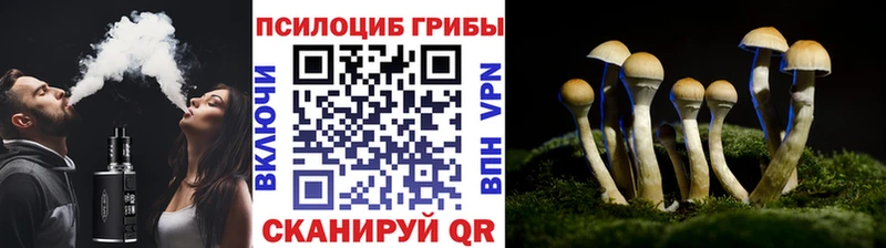 наркошоп Щигры Галлюциногенные грибы ЛСД